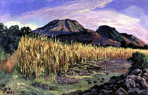 The Cornfield (Dry Maizefield) by  Gerardo (Dr Atl)        Murillo